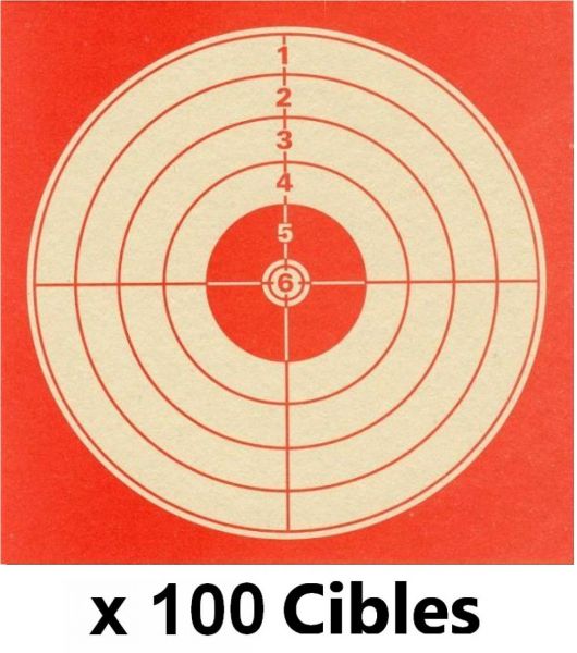 250 Cibles en carton 10x10 cm pour du tir à la carabine à 10 mètres